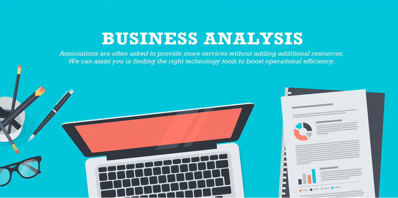 Services: Business Analysis